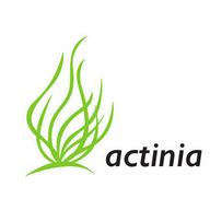 actinia