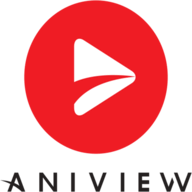 Aniview Dynamic Ad Insertion(SSAI)