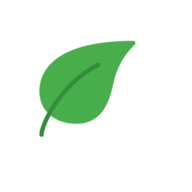 Anki Decks