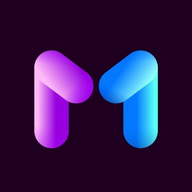 AnyMirror