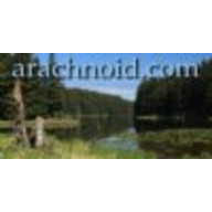 Arachnoid Interactive LaTeX Editor logo