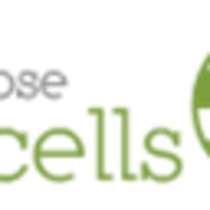 Aspose.Cells for Cloud