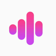 AudFree Auditior