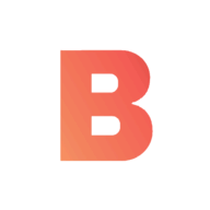 Base Styles