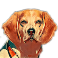 Beagle IM
