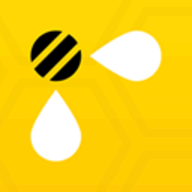 Bee Inc.