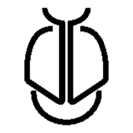 Beetle Email