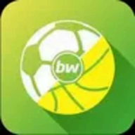 BetsWall logo