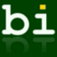 bibisco