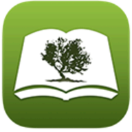 Bible by Olive Tree