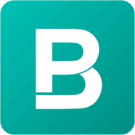 BigPicture.io
