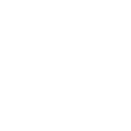 Biport Wallet logo