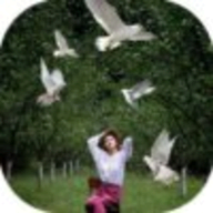 Bird Live Photo Editor logo