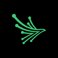 Black Kite risk management