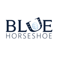 Blue Horseshoe Implementation Services