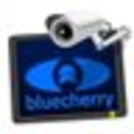 Bluecherry