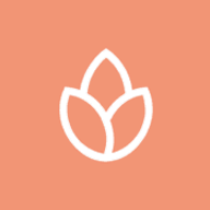 Bonfire.com logo