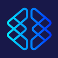 Brainio