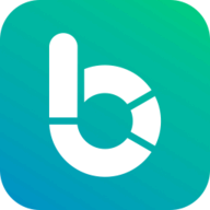 Budget Flow logo