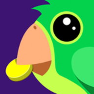 Budgy 2