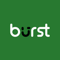 Burst Statistics logo
