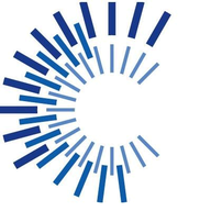 CFO Solutions logo