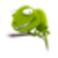 Chameleon Bootloader