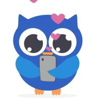 ChatOwl