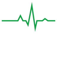 checkthe.website logo