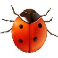 Coccinella
