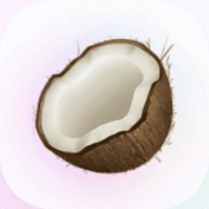 Coconote logo