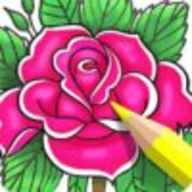 Coloring Book for Adults