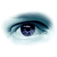 Copyscape