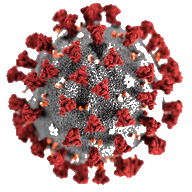 Coronavirus Pandemic Simulation