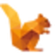 DataSquirrel.ai logo