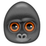 Debookee