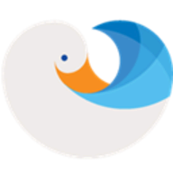 Deep Dive Duck