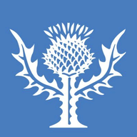 Dictionary Anywhere