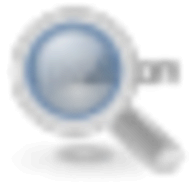 Domain Details