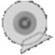 Dorgem logo