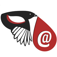 Email Magpie