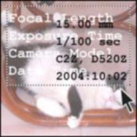 Exif Pilot