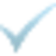 Extra Value Checks logo