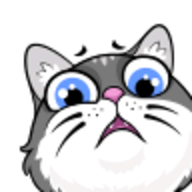 FaceCat