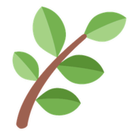 Fern