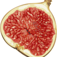 Fig