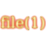 file