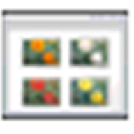 FileOptimizer