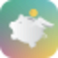 Fin - Budget Tracker