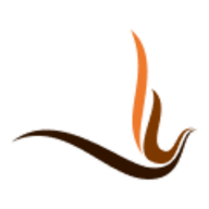 Firezone logo